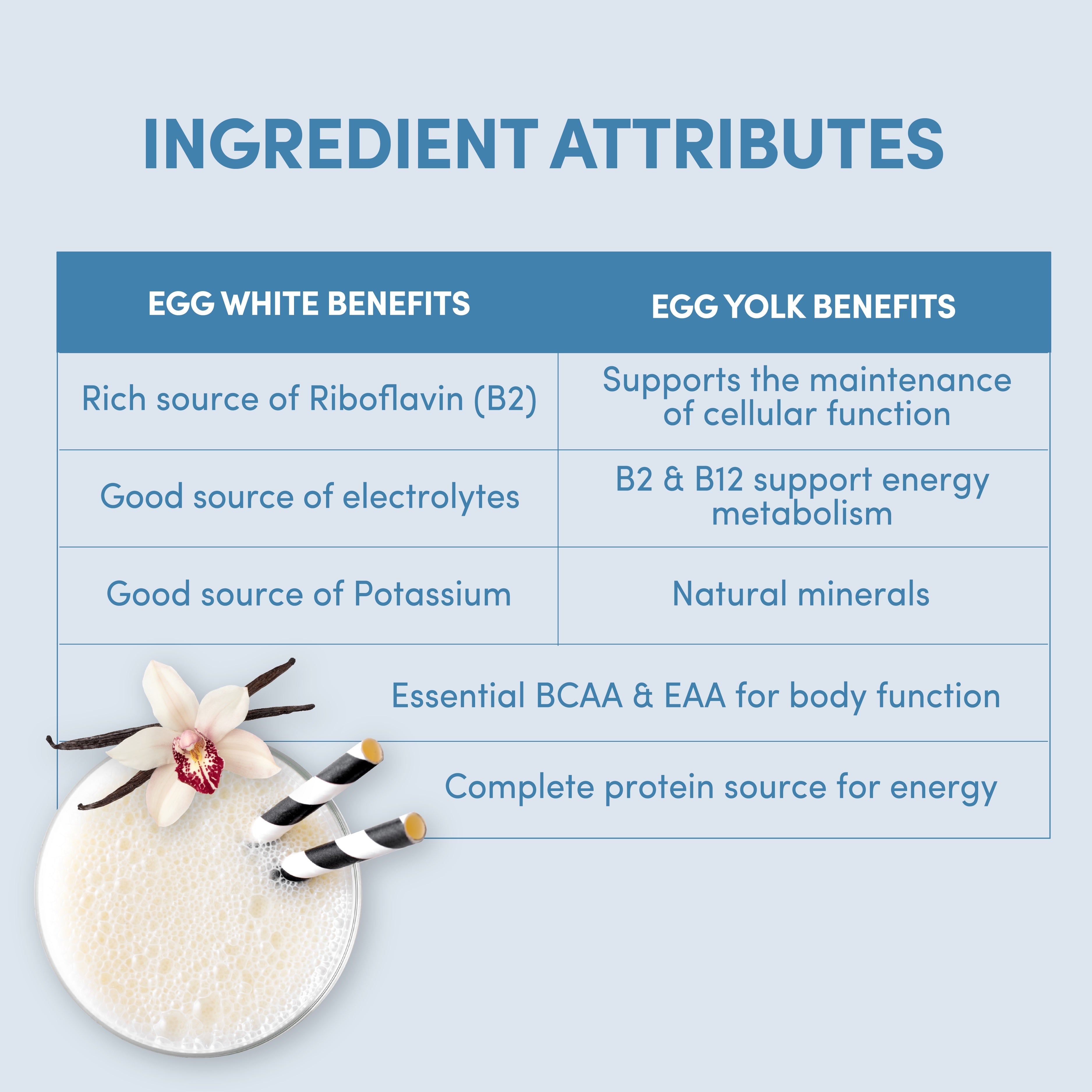 Vanilla Designer Egg